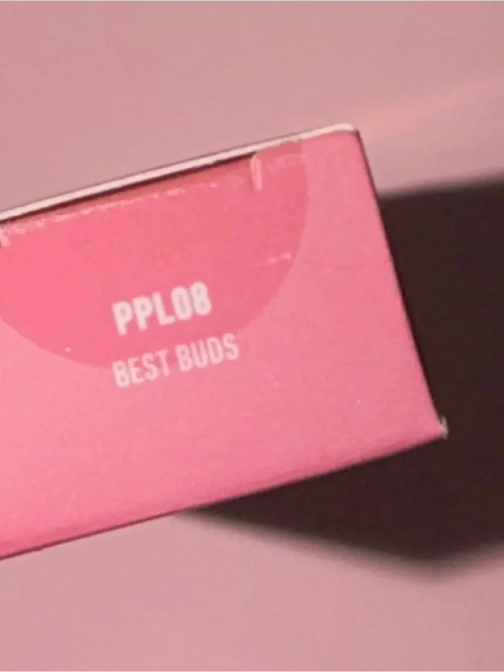 NYX Powder Puff lipstick — best buds